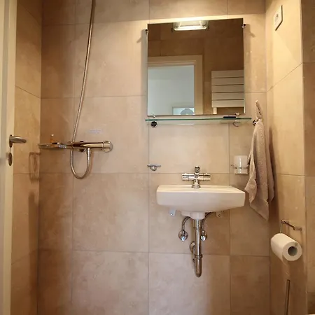 Janus